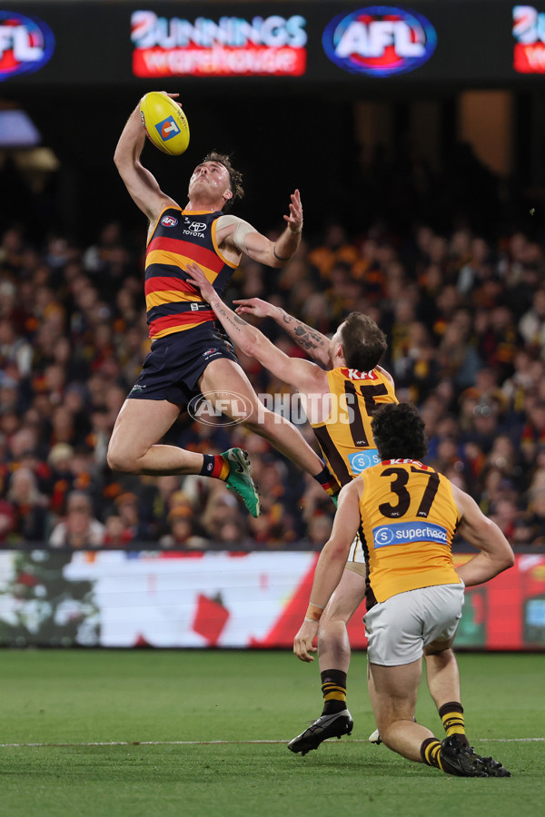AFL 2025 First Semi Final - Adelaide v Hawthorn - A-62571907