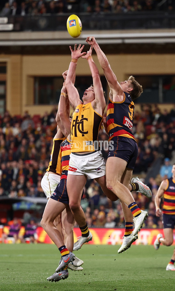 AFL 2025 First Semi Final - Adelaide v Hawthorn - A-62574424