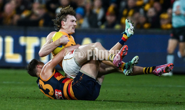 AFL 2025 First Semi Final - Adelaide v Hawthorn - A-62579519