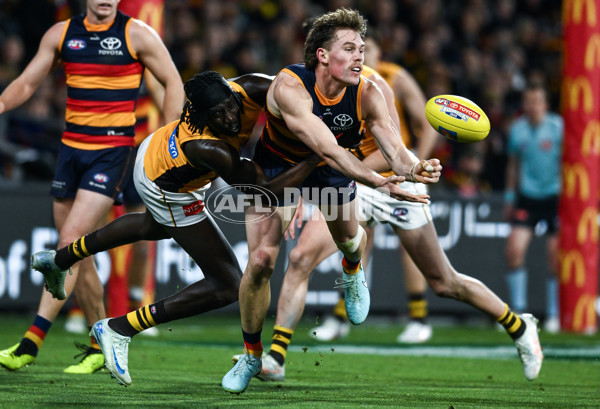 AFL 2025 First Semi Final - Adelaide v Hawthorn - A-62579524