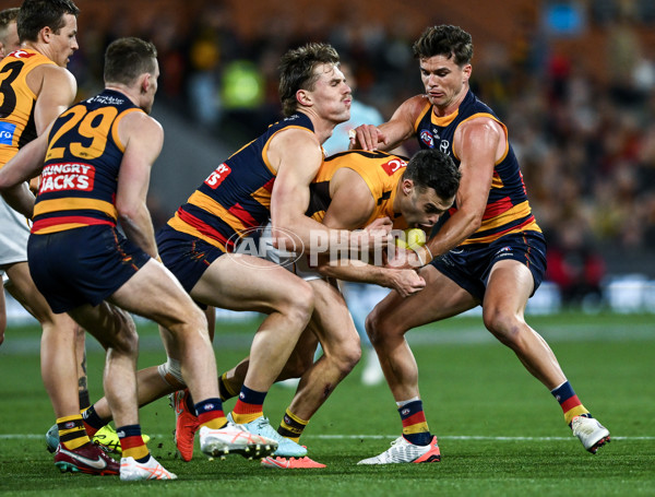 AFL 2025 First Semi Final - Adelaide v Hawthorn - A-62579542