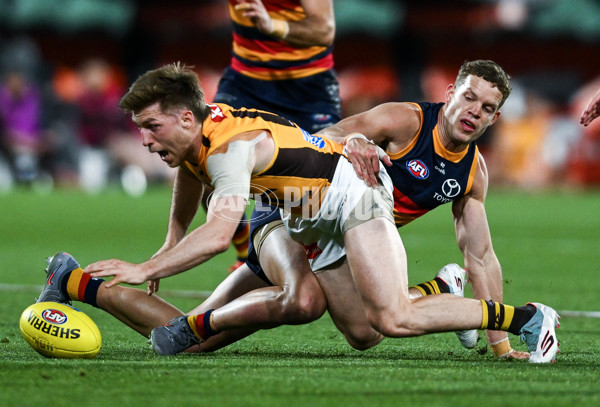 AFL 2025 First Semi Final - Adelaide v Hawthorn - A-62579543