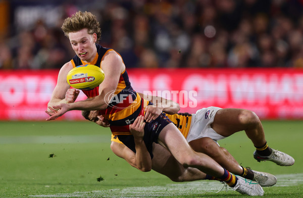 AFL 2025 First Semi Final - Adelaide v Hawthorn - A-62579570