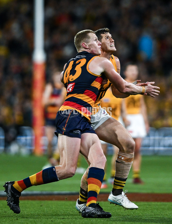 AFL 2025 First Semi Final - Adelaide v Hawthorn - A-62581127