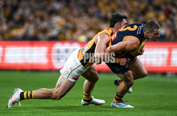 AFL 2025 First Semi Final - Adelaide v Hawthorn - A-62581131