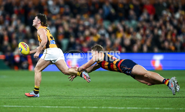 AFL 2025 First Semi Final - Adelaide v Hawthorn - A-62581132