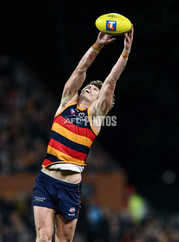 AFL 2025 First Semi Final - Adelaide v Hawthorn - A-62581135