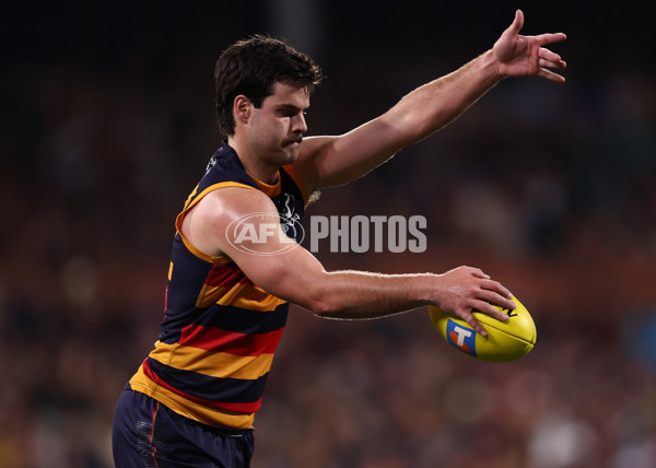 AFL 2025 First Semi Final - Adelaide v Hawthorn - A-62581198