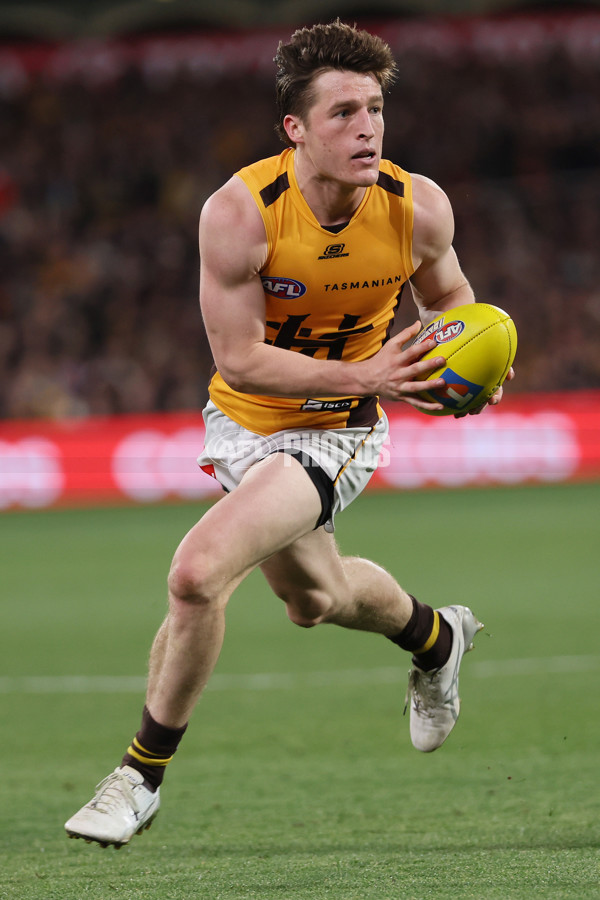 AFL 2025 First Semi Final - Adelaide v Hawthorn - A-62581214