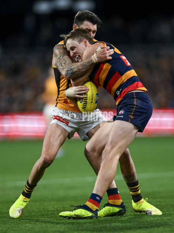 AFL 2025 First Semi Final - Adelaide v Hawthorn - A-62585703