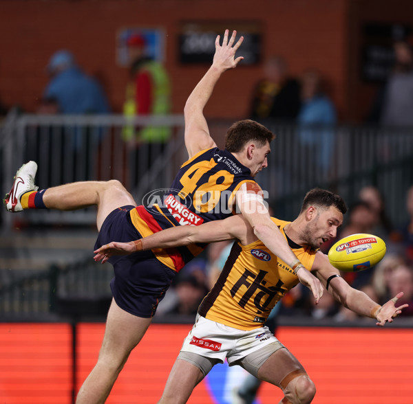 AFL 2025 First Semi Final - Adelaide v Hawthorn - A-62585713