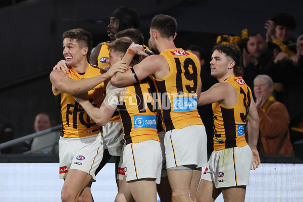 AFL 2025 First Semi Final - Adelaide v Hawthorn - A-62587787