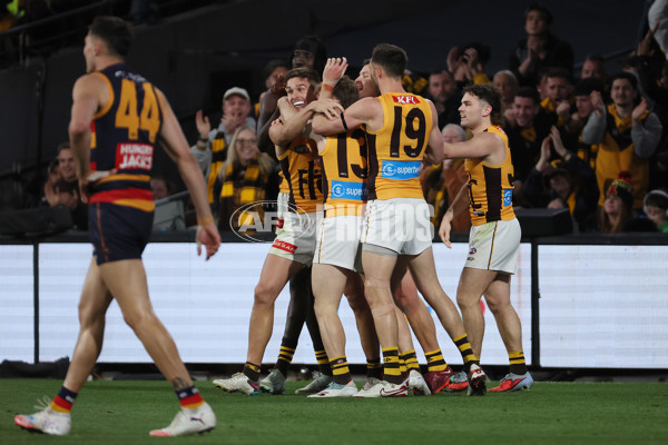 AFL 2025 First Semi Final - Adelaide v Hawthorn - A-62587791