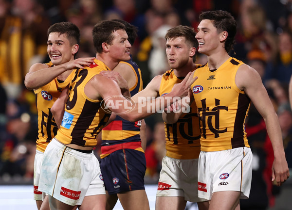 AFL 2025 First Semi Final - Adelaide v Hawthorn - A-62587852