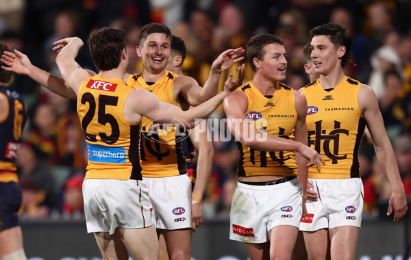 AFL 2025 First Semi Final - Adelaide v Hawthorn - A-62587853