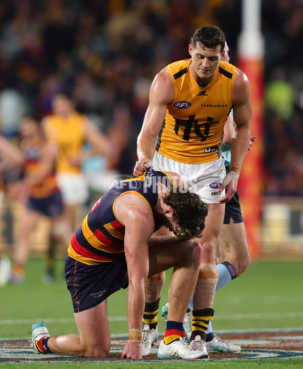 AFL 2025 First Semi Final - Adelaide v Hawthorn - A-62593157