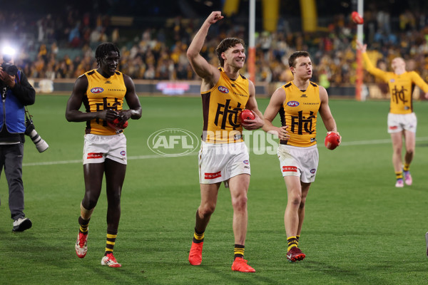 AFL 2025 First Semi Final - Adelaide v Hawthorn - A-62593165