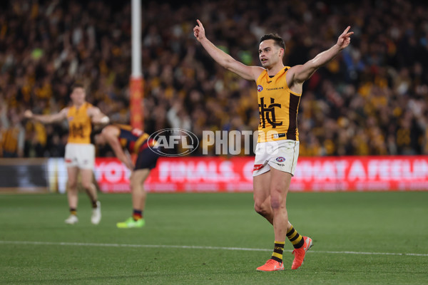 AFL 2025 First Semi Final - Adelaide v Hawthorn - A-62593197