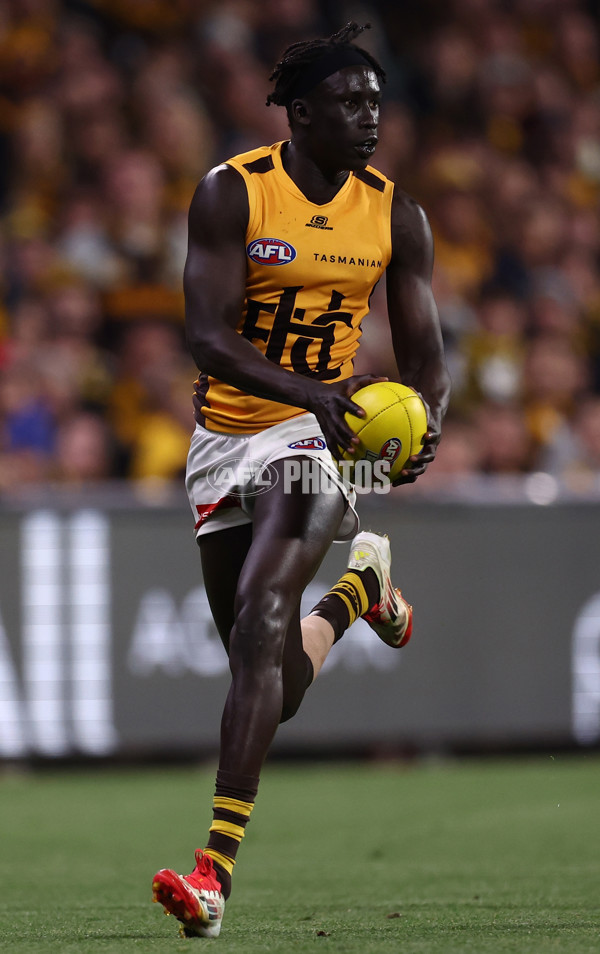 AFL 2025 First Semi Final - Adelaide v Hawthorn - A-62593230