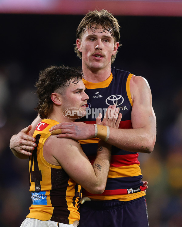 AFL 2025 First Semi Final - Adelaide v Hawthorn - A-62596426