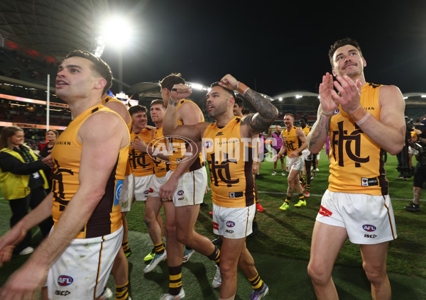 AFL 2025 First Semi Final - Adelaide v Hawthorn - A-62596449