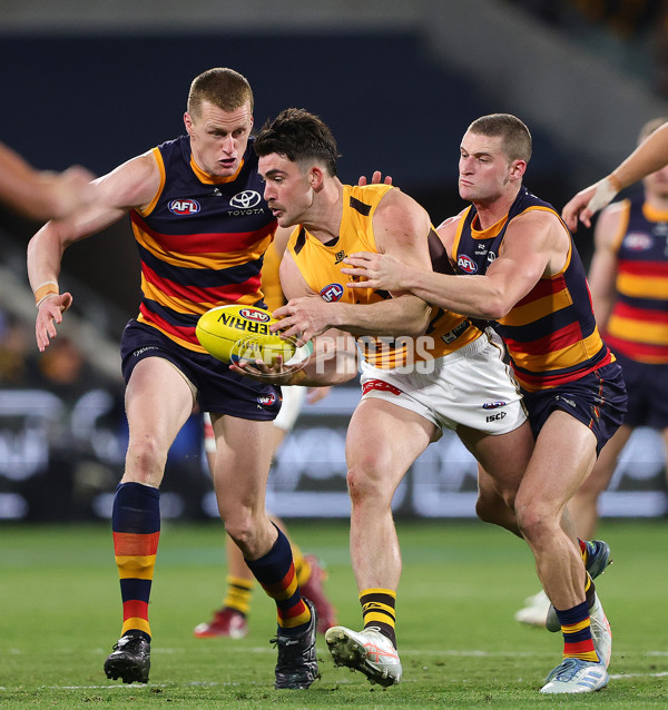 AFL 2025 First Semi Final - Adelaide v Hawthorn - A-62601003