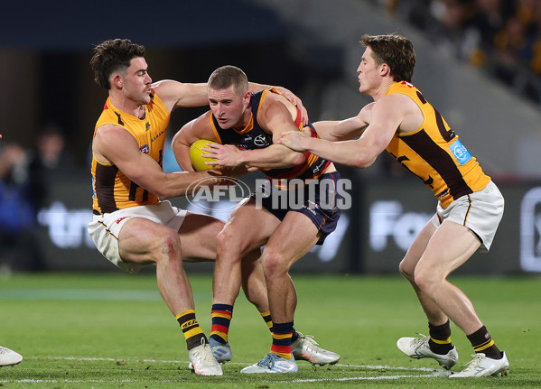 AFL 2025 First Semi Final - Adelaide v Hawthorn - A-62601005