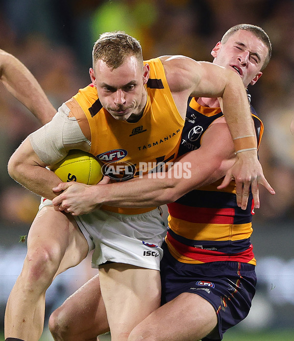 AFL 2025 First Semi Final - Adelaide v Hawthorn - A-62601596