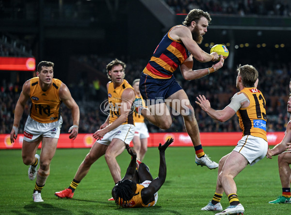 AFL 2025 First Semi Final - Adelaide v Hawthorn - A-62618298