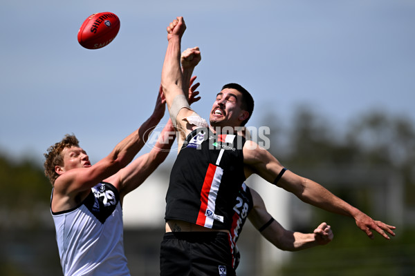VFL 2025 Second Preliminary Final - Southport Sharks v Frankston - A-62628706