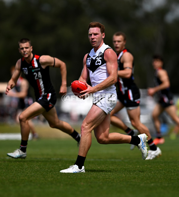 VFL 2025 Second Preliminary Final - Southport Sharks v Frankston - A-62720218