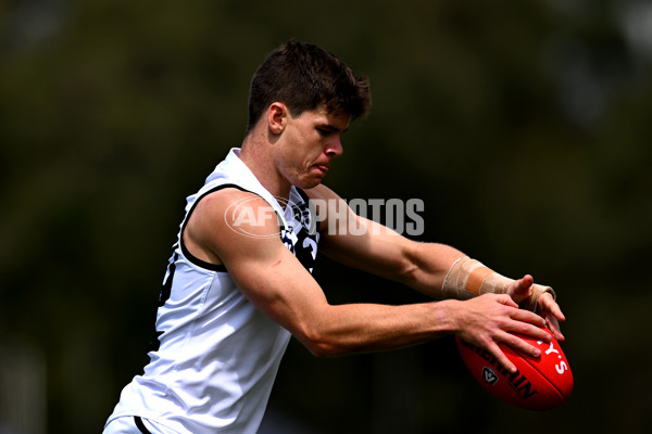 VFL 2025 Second Preliminary Final - Southport Sharks v Frankston - A-62720917
