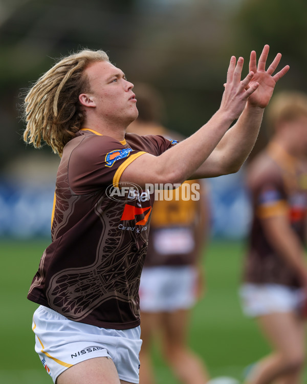 VFL 2025 First Preliminary Final - Footscray v Box Hill - A-62730841