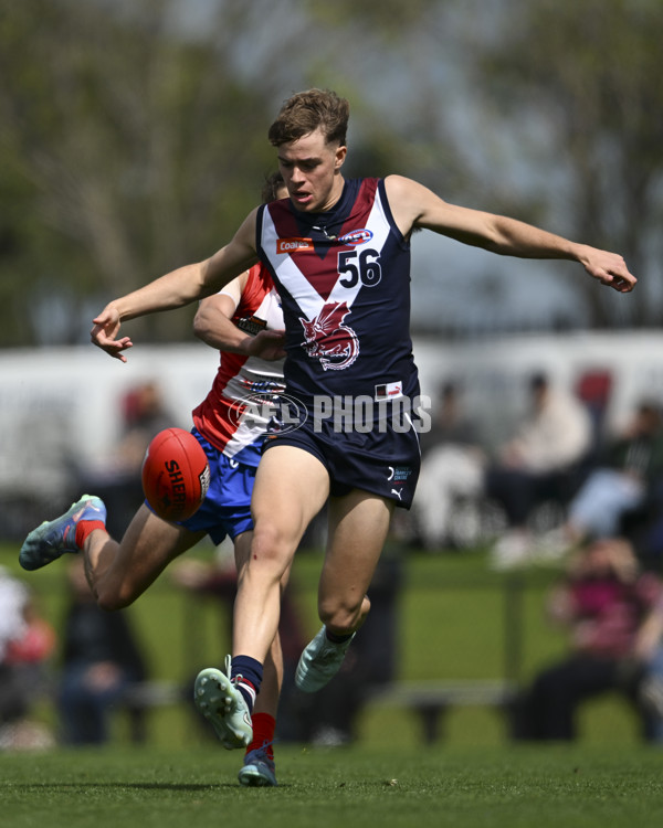 Coates League Boys 2025 Quarter Final - Gippsland Power v Sandringham Dragons - A-62740858