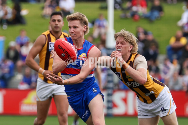 VFL 2025 First Preliminary Final - Footscray v Box Hill - A-62748410