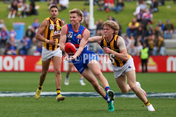VFL 2025 First Preliminary Final - Footscray v Box Hill - A-62749098