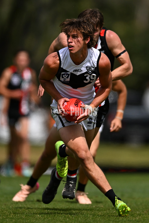 VFL 2025 Second Preliminary Final - Southport Sharks v Frankston - A-62749112
