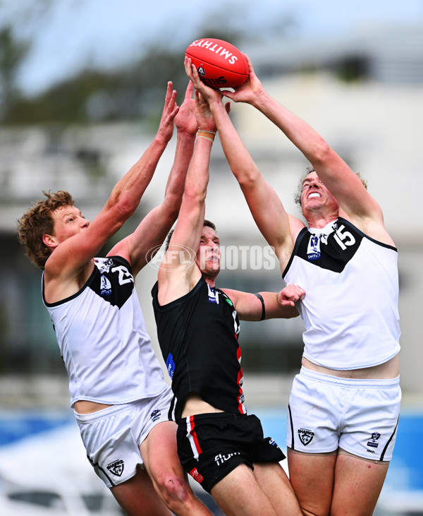 VFL 2025 Second Preliminary Final - Southport Sharks v Frankston - A-62749114