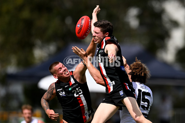 VFL 2025 Second Preliminary Final - Southport Sharks v Frankston - A-62749164