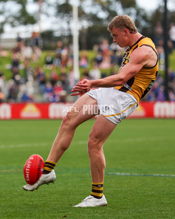 VFL 2025 First Preliminary Final - Footscray v Box Hill - A-62752365