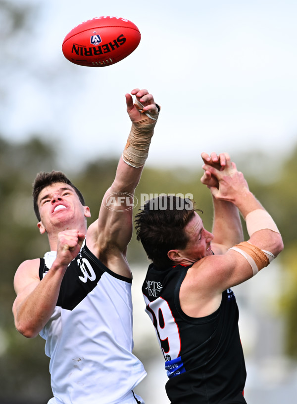 VFL 2025 Second Preliminary Final - Southport Sharks v Frankston - A-62752615