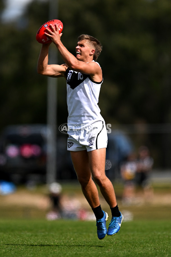 VFL 2025 Second Preliminary Final - Southport Sharks v Frankston - A-62752621