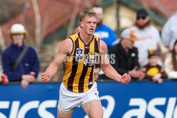 VFL 2025 First Preliminary Final - Footscray v Box Hill - A-62752633
