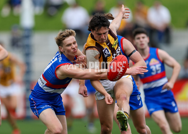 VFL 2025 First Preliminary Final - Footscray v Box Hill - A-62772839