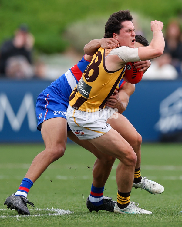 VFL 2025 First Preliminary Final - Footscray v Box Hill - A-62775803