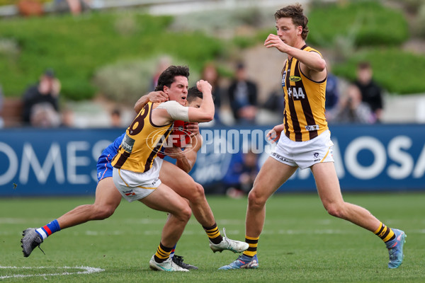 VFL 2025 First Preliminary Final - Footscray v Box Hill - A-62777070
