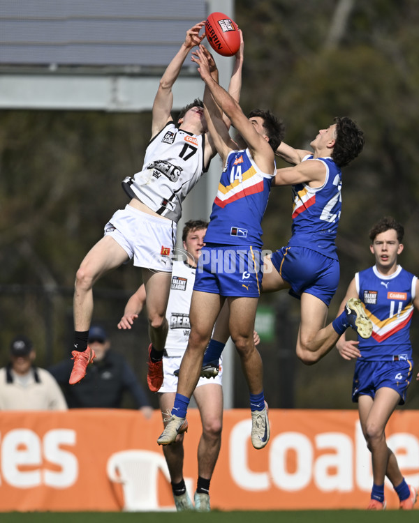 Coates League Boys 2025 Quarter Final - Eastern Ranges v GWV Rebels - A-62785997
