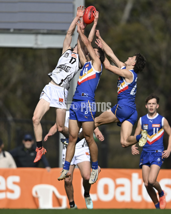 Coates League Boys 2025 Quarter Final - Eastern Ranges v GWV Rebels - A-62786010