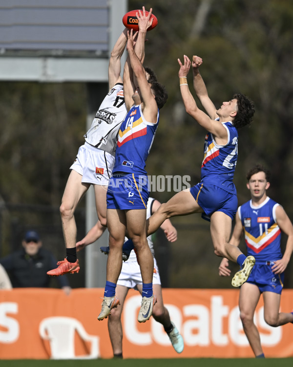 Coates League Boys 2025 Quarter Final - Eastern Ranges v GWV Rebels - A-62787364