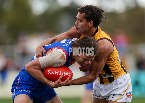 VFL 2025 First Preliminary Final - Footscray v Box Hill - A-62795006